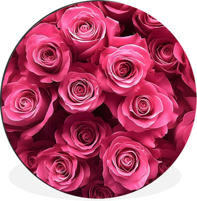 WallCircle - Wandcirkel - Muurcirkel - Rozen - Pink - Bloem - Aluminium - Dibond - 30x30 cm - Binnen en Buiten