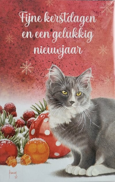 Kerstkaarten Francien katten - rode kerstkaart grijze poes - 8 wenskaarten met 8 enveloppen - voor kerst