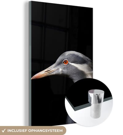 MuchoWow® Glasschilderij 120x180 cm - Schilderij acrylglas - Vogel - Dieren - Portret - Foto op glas - Schilderijen