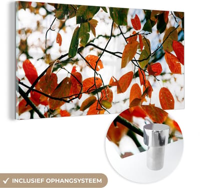 MuchoWow® Glasschilderij 40x20 cm - Schilderij acrylglas - Herfst - Bladeren - Landelijk - Seizoenen - Foto op glas - Schilderijen