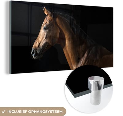 MuchoWow® Glasschilderij 40x20 cm - Schilderij acrylglas - Paard - Dieren - Nacht - Zwart - Foto op glas - Schilderijen