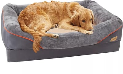 BingoPaw Orthopaedic Dog Bed Sofa XXL - Pet Bed with 10 cm Thick Sponge Dog Cushion - Removable Washable Cover - Puppy Bed Large -Non-Slip Grey 120 x 90 cm