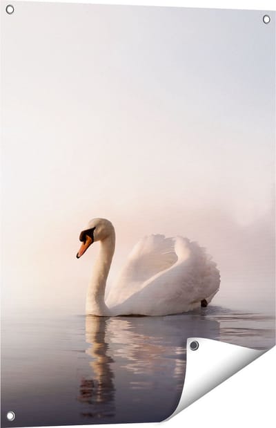 Gards Tuinposter Zwaan in het Water tijdens de Mist - 60x80 cm - Tuindoek - Tuindecoratie - Wanddecoratie buiten - Tuinschilderij