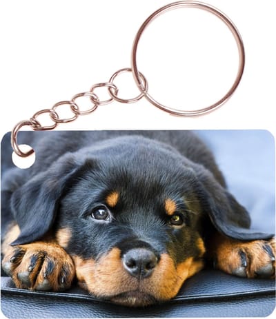 Sleutelhanger 6x4cm - Rottweiler Hond Liggend