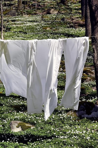 Zack Laken, oversized - 100% hoogwaardig biologisch katoen, GOTS-gecertificeerd, wit, 240 x 260 cm