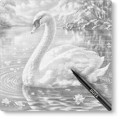 Zwaan | Dot painting | 40x40cm | Dot painting | Oh My Dotz | Dots stippen | Diamond painting & Schilderen op nummer alternatief | Happy hobby