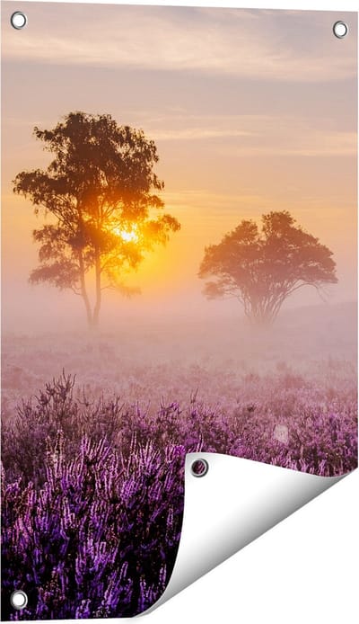 Gards Tuinposter Weide in de Veluwe bij Zonsondergang - 40x60 cm - Tuindoek - Tuindecoratie - Wanddecoratie buiten - Tuinschilderij