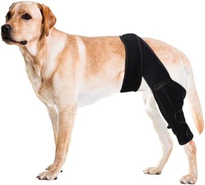 Daity Kniebrace voor honden — Speciaal voor gescheurde kruisbanden en artritis | Verstelbare beschermhoes met stabiliserende steunen | Geschikt voor middelgrote honden (22–35 kg) — Maat L