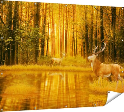 Gards Tuinposter Twee Herten in het Bos bij het Water - 160x120 cm - Tuindoek - Tuindecoratie - Wanddecoratie buiten - Tuinschilderij
