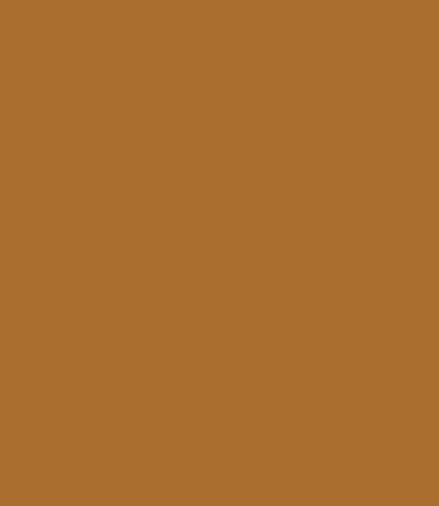 Carte Colori Calcare Kalkverf Sienna CC040 2,5 Liter