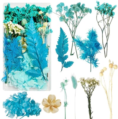 Dailygoods- Droogbloemen Set - Kleine Gedroogde Bloemen - Kleurrijk - Decoratie - DIY Fotolijst - Natuurlijke Bloemen in Doos
