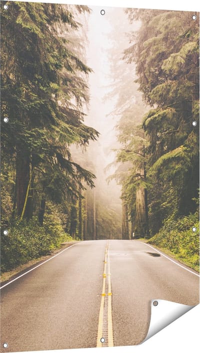 Gards Tuinposter Highway in Californië Omring met Bos - 80x120 cm - Tuindoek - Tuindecoratie - Wanddecoratie buiten - Tuinschilderij
