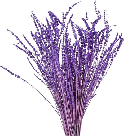 Gedroogde Lavendel Bundel (60g) – Natuurlijke Decoratie voor Huis, Bruiloft en Feestjes