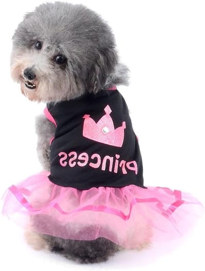 Schattige Rok voor Kleine Honden en Katten - Prinsessenjurk voor Chihuahua's en Puppy’s - Zomeroutfit in Roze en Wit, Maat XS