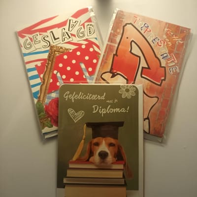 6 Luxe Geslaagd Wenskaarten - Kaart Wens Kaart Examen Geslaagd School Studie Opleiding - 3 Motieven 11.5x16.2cm Rood Wit Blauwe Envelop - Art of Cards