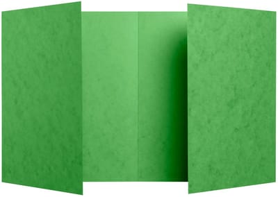 Exacompta 100x Schriftomslag in glanskarton 225g - 17x22 cm - Groen - 32123E