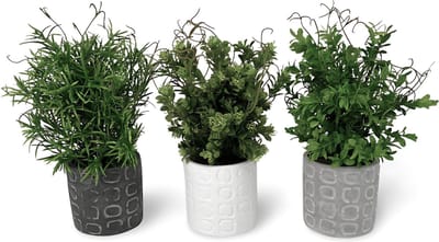 Kunst Vetplanten In Pot Beton 3 st. - 29 cm
