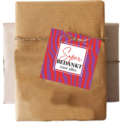 Set 5 kadokaartjes klein – bedankt - juf - meester - einde schooljaar - waardering - thanks - Wildcards
