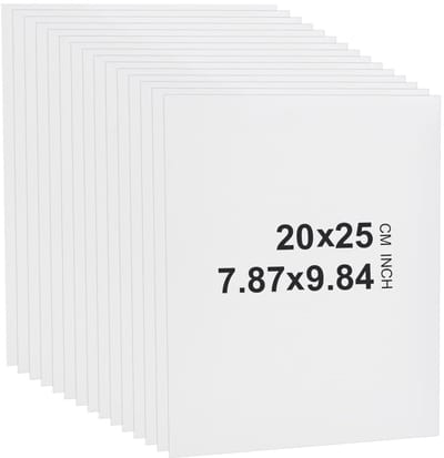 Dailygoods- Matborden 20 Stuks - Zuurvrij Achterbord - 25x20cm - Voor