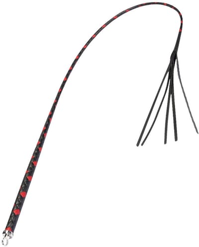 RISE - BDSM Zweep - Feather Single Tail - Zwart/Rood