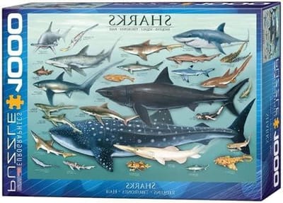 Oceaan Puzzel - Legpuzzel - Ontspannen Tijdverdrijf - Inclusief Sorteerschalen - 1000 Stukjes - Meerkleurig