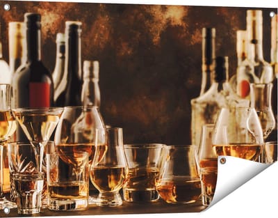 Gards Tuinposter Glazen met Sterke Drank - Flessen - 90x60 cm - Tuindoek - Tuindecoratie - Wanddecoratie buiten - Tuinschilderij