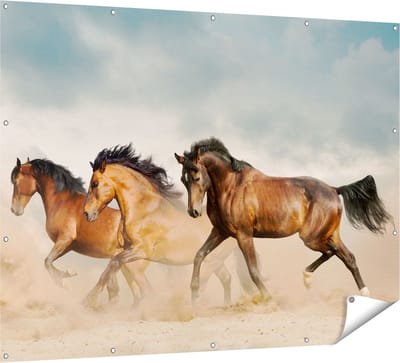 Gards Tuinposter Drie Bruine Paarden - 160x120 cm - Tuindoek - Tuindecoratie - Wanddecoratie buiten - Tuinschilderij