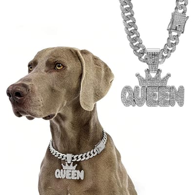 Cubaanse Hondenhalsband, Legering Huisdier Hondenhalsband, Gouden Ketting Voor Kleine Tot Grote Honden Ceo Baas Luxe Hanger Sieraden Accessoire Nieuw 12inch(30cm)