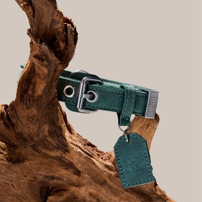 Rough Rough Leren Hondenhalsband - Zachte Halsband voor Kleine Hond of Puppy - Leer (vegan) - Bos Groen maat S