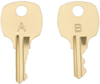 Dailygoods- Sleutelset Goud - 2x Borstsleutel - Compatibel met Lane Cedar S-serie - Veiligheidssloten - Eenvoudig te installeren - Metaal