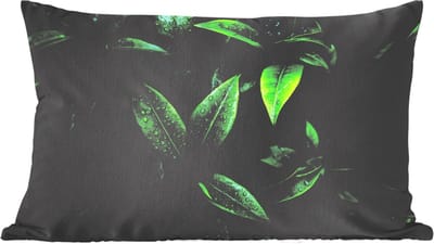 Sierkussens - Kussentjes Woonkamer - 60x40 cm - Bladeren - Regendruppels - Licht - Groen