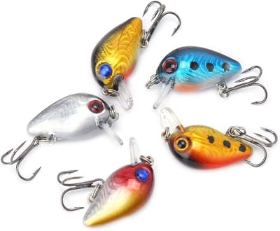 Mini Minnow Visaas 3 cm - 5 Stuks met Holografische Ogen en Transparante Doos