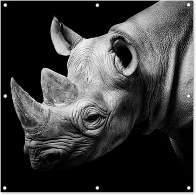 Tuindoek Dieren - Neushoorn - Zwart - Wit - Portret - 100x100 cm