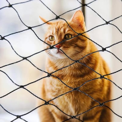 Kattennet Balkon - Veiligheidsnet Kat - Buiten Leven - Draadversterkt Materiaal - 6 x 3 Meter - Transparant