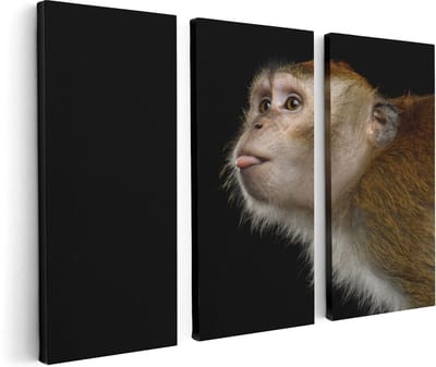 Artaza Canvas Schilderij Drieluik Apenkop Met Zijn Tong Uit - Aap - 120x80 - Foto Op Canvas - Canvas Print