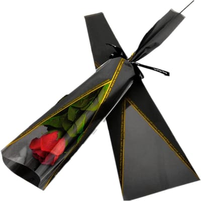 100 Stuks Enkele Bloemverpakking, Boeket Sleeve, Papieren Wikkel voor Rozen en Anjers, Perfect voor Moederdag, Verjaardag en Bruiloften
