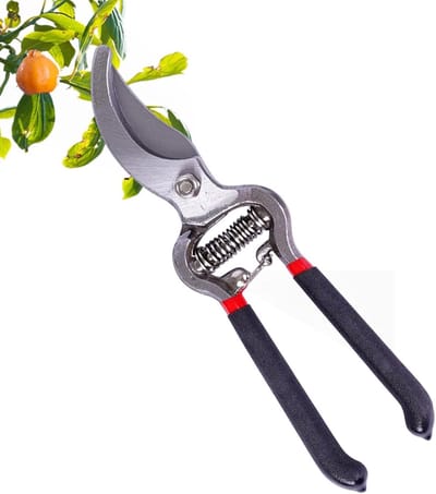 Tuinschaar Snoeischaar - Hand Trimschaar - Planten Onderhoud - Ergonomisch Antislip Handvat - 20.5 cm - Zwart