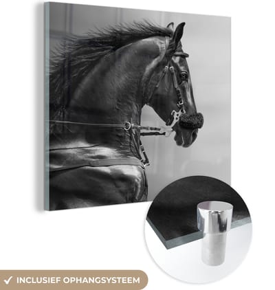 MuchoWow® Glasschilderij 50x50 cm - Schilderij acrylglas - Paarden - Zwart - Portret - Dieren - Foto op glas - Schilderijen