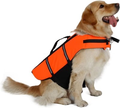 Hondenzwemvest - oranje, verstelbaar met reflecterende strepen - voor kleine en grote honden