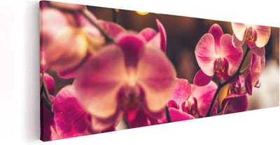 Artaza Canvas Schilderij Bloemen - 60x20 cm - Wanddecoratie Woonkamer - Muurdecoratie Orchidee - Kamer Accessoires
