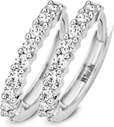 Blush Oorbellen 7166Wzi - Wit Goud (14Krt.) Met Zirconia
