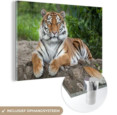 MuchoWow® Glasschilderij 60x40 cm - Schilderij acrylglas - Tijger - Natuur - Stenen - Foto op glas - Schilderijen