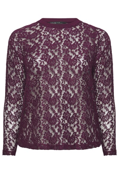 Limited Collection Paarse Mesh Top Met Kant En Lange Mouwen Size 40