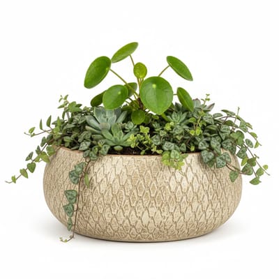 Mica decorations Bloempot / schaal Madeira - creme - terracotta - 13 x 27 cm - schubbenpatroon