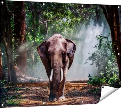 Gards Tuinposter Olifant in het Bos - 120x90 cm - Tuindoek - Tuindecoratie - Wanddecoratie buiten - Tuinschilderij