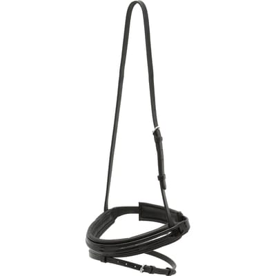 Hoofdstel voor paard met vierkante chroomringen Kieffer Flash Comfort Paris Ii