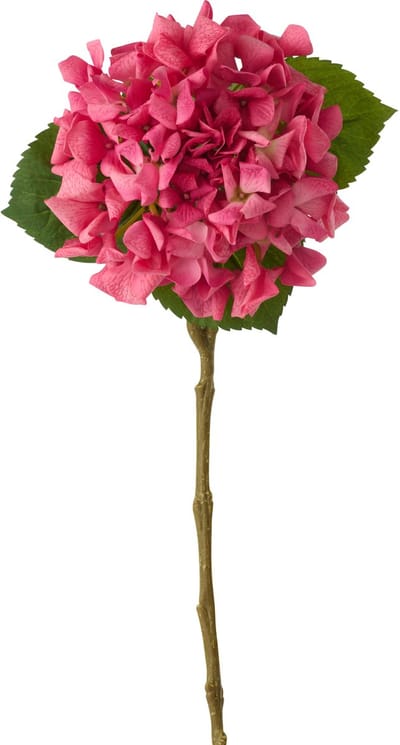 J-Line hortensia Echt Gevoel - kunststof - donkerroze - 4 stuks