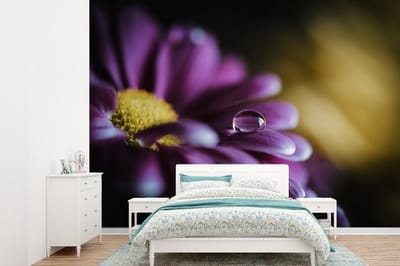 Behang - Fotobehang Waterdruppel op een paarse bloem - Breedte 415 cm x hoogte 300 cm