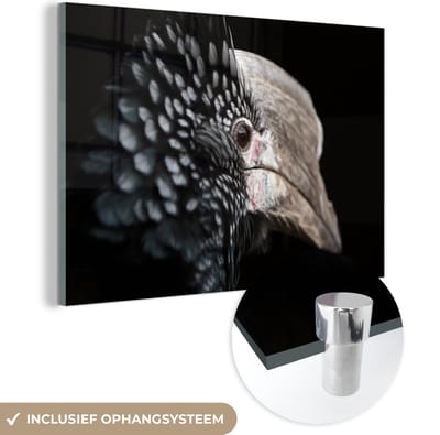 MuchoWow® Glasschilderij 120x80 cm - Schilderij acrylglas - Vogel - Snavel - Veren - Foto op glas - Schilderijen