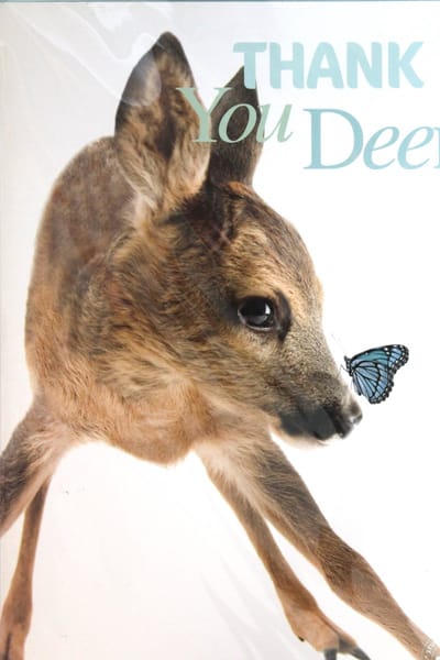 Luxe Wenskaart Bedankt - Thank You Deer - By Myrna - Hert Ree - 14,5x21cm - Dubbele Kaart - Met Envelop - Luxe Wens Kaart - Greeting Card - 1 Stuks - In Folie Verpakt - Bedankt - Thanks - Danke - Gratis Verzonden
